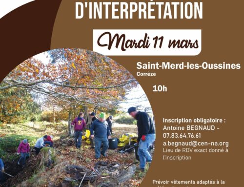 11/03/2025 Création d’un sentier d’interprétation (19)