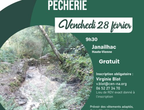 28/02/2025 Chantier bénévole : curage d’une pêcherie (87)