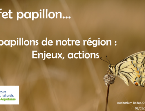 Connaissez-vous vraiment les papillons ? Conférence à Oloron-Sainte-Marie (64) dans le cadre du PNA papillons de jour.