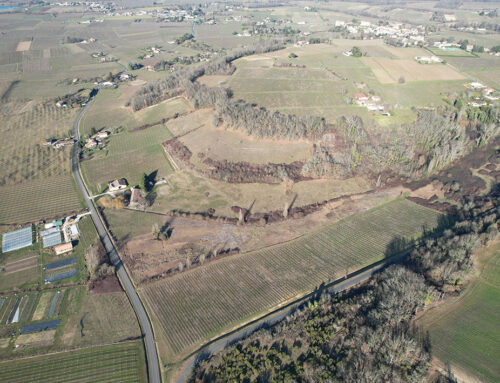 Quelques hectares de plus en Gironde …