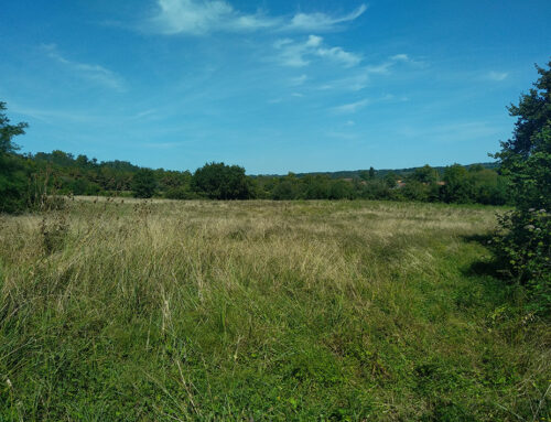 Acqusition de parcelles sur le site des Prairies d’Autevielles (64)