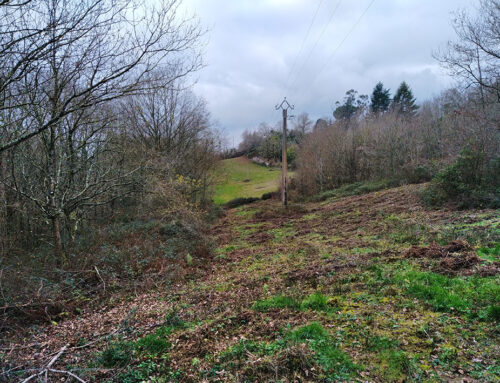 Acquisition de parcelles sur les coteaux nord de Salies-de-Béarn (64)