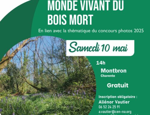10/05/2025 Découverte du monde vivant du bois mort (16)