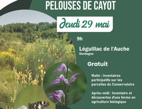 29/05/2025 Inventaires participatifs sur le site CEN et sur la ferme