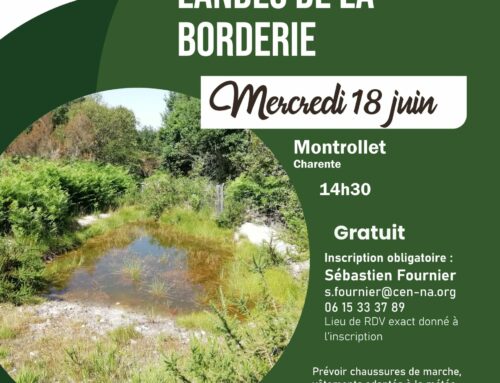 18/06/2025 Les Libellules des Landes de la Borderie (16)