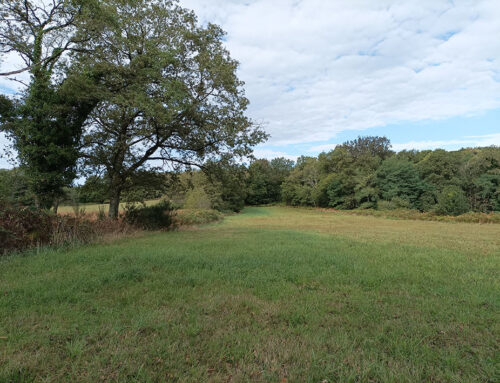 Une nouvelle donation pour la Fondation espaces naturels de France en Haute-Vienne