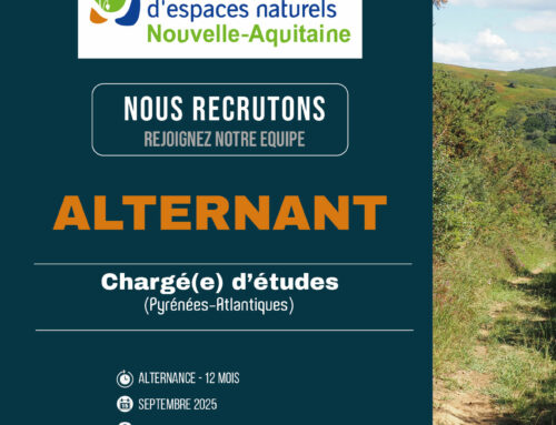 ALTERNANT : Chargé d’études (64)