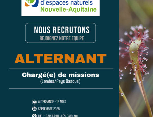 ALTERNANT : Chargé de missions (40/64)