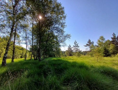 Un nouveau cap pour les Sources de la Vienne : un plan de gestion réactualisé pour 10 ans (19)