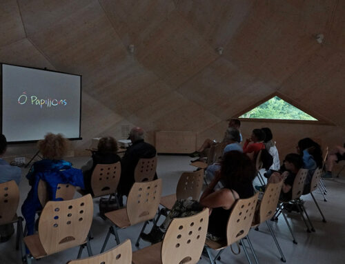 Projection du film Ô Papillons au tiers-lieu de la ferme Guilhembaqué à Laroin (64)