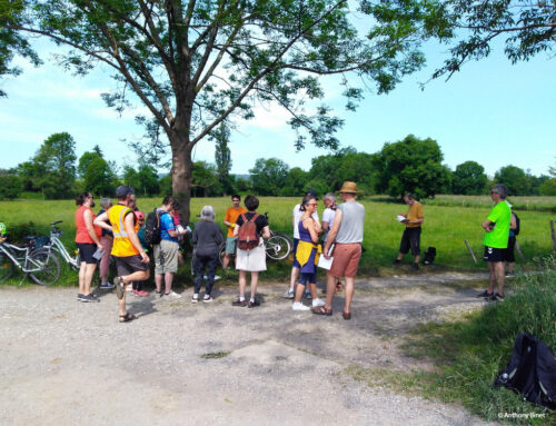 3e édition de la Biodivélo : Sous le rare soleil de mai sur la véloroute 81 entre Pau et Arros-de-Nay (64)
