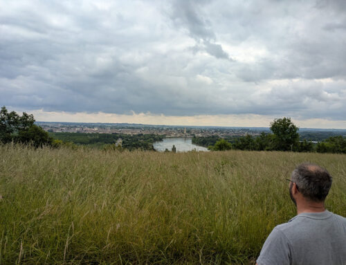 Du haut de ce tertre… des siècles de biodiversité nous contemplent ! (33)