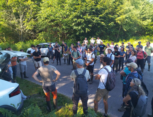 Retour sur les rencontres du Réseau Zones Humides (RZH) en Limousin – 19 au 21 juin 2025