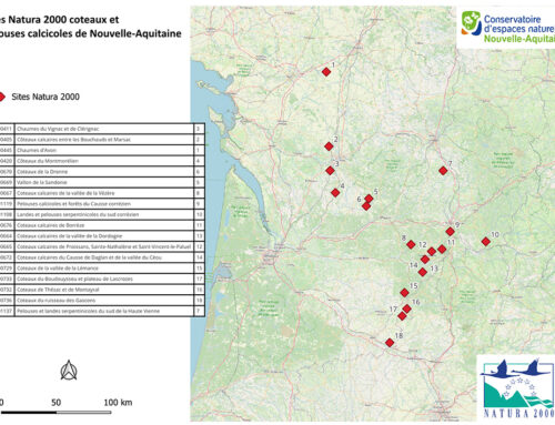 Le Conservatoire, lauréat de l’appel à projets 2025 Etudes et suivis scientifiques Natura 2000