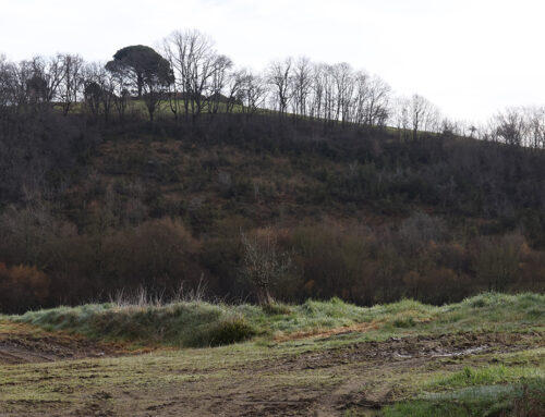Un projet de restauration des milieux naturels lauréat du programme « Patrimoine Naturel et biodiversité » de la Fondation du Patrimoine