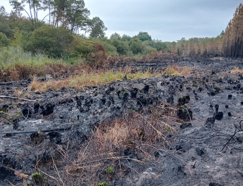 Incendie sur la vallée de la Poussonne (16)