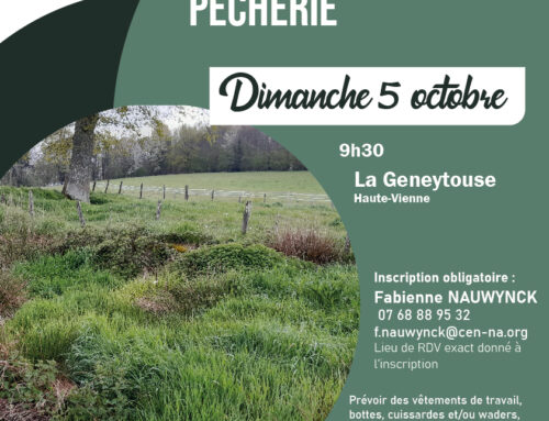 5/10/2025 Chantier curage d’une pêcherie (87)