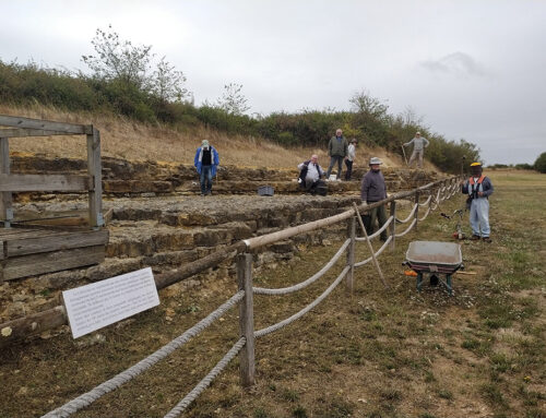 Chantier sur l’ENS de la Carrière de Mollets (Deux-Sèvres)